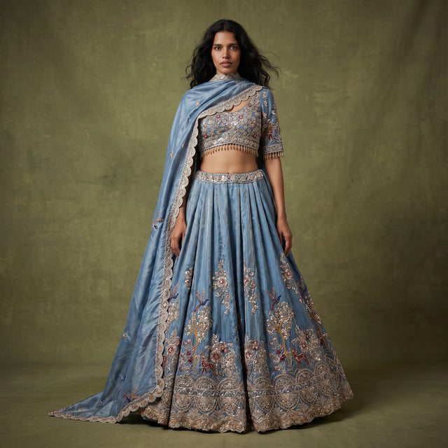 Light blue embroidered tissue silk lehenga with full-sleeve blouse, multicolor border
