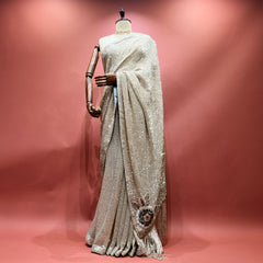 Champagne net saree with sequin and cut-dana work, embellished border and pallu drape
