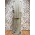 Ivory net saree with silver cut dana lattice and scalloped lace border