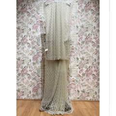 Ivory net saree with silver cut dana lattice and scalloped lace border