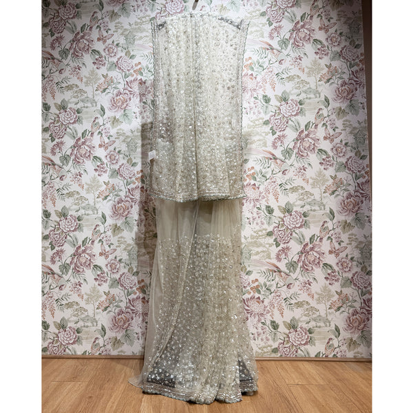Champagne net saree with allover sequin and cutwork, sheer drape with border