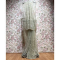 Sage green net saree with sequin lattice and cut dana, layered border drape.