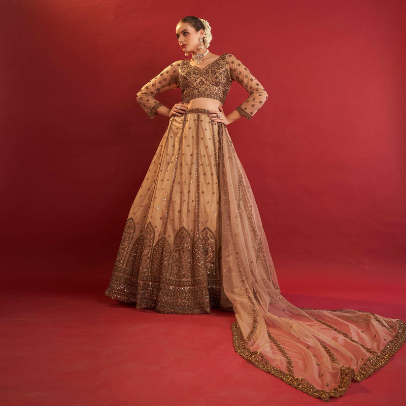 Celestial Collection: Ready-to-Wear Reception and Sangeet Partywear Lehengas Chiku