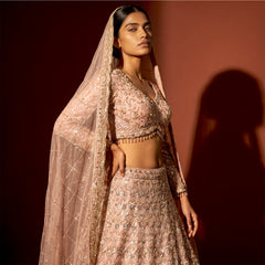 Soft pink embroidered lehenga with beaded waist trim and sheer dupatta, long sleeves