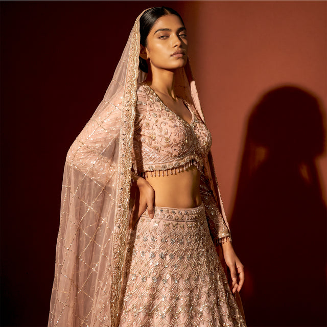 Soft pink embroidered lehenga with beaded waist trim and sheer dupatta, long sleeves