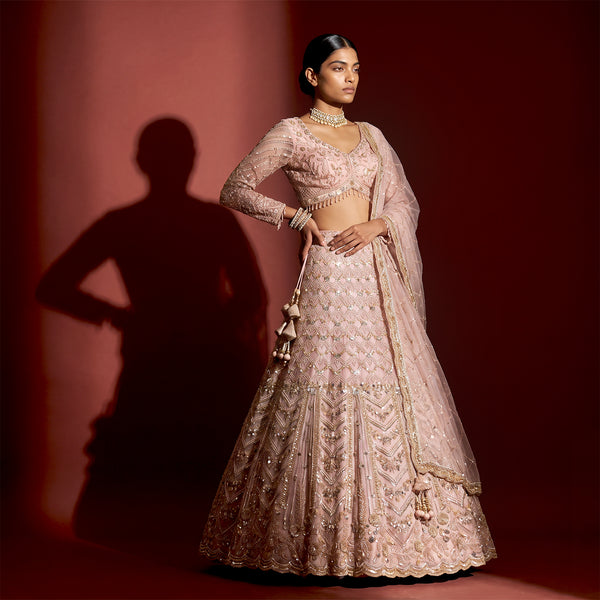 Soft pink beaded lehenga with flared embroidered skirt and matching dupatta, long sleeves