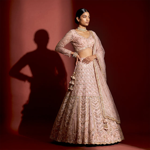 Soft pink beaded lehenga with flared embroidered skirt and matching dupatta, long sleeves