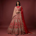 Red embroidered bridal lehenga with ornate peacock-style motifs and sheer dupatta