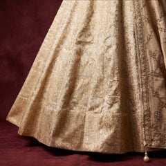 Ivory Banarasi lehenga skirt with ornate brocade motifs and border trim