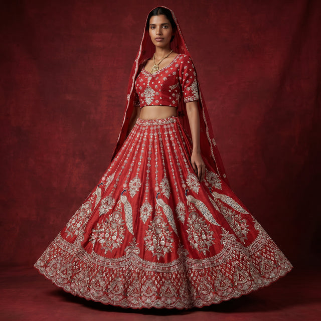 Red bridal lehenga with embroidered flared skirt, matching cropped blouse and veil