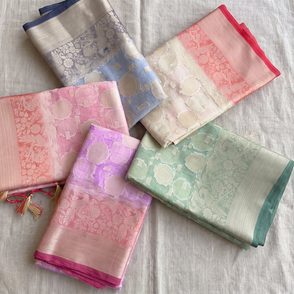 Organza brasso sarees with zari bird border in five pastel colours