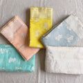 Pastel organza sarees with silver leaf buta in five colours